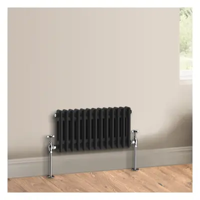 (300 x 605mm - Double) Warmehaus Traditional Cast Iron Style Black Radiator Perfect for Bathroom