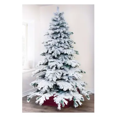 (7ft - branch tips) Christmas Tree World | Snow White Fir (5ft - 8ft)