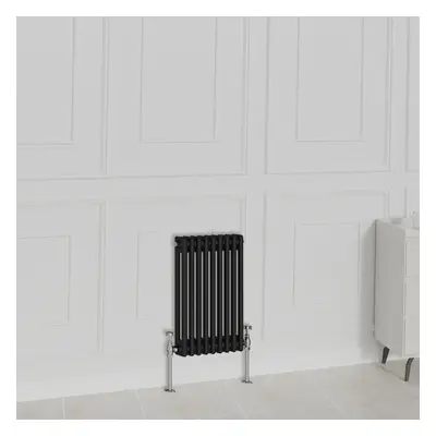 (600x425mm-2 Column, Black) NRG Traditional Radiator Horizontal Vertical Cast Iron Style Double 