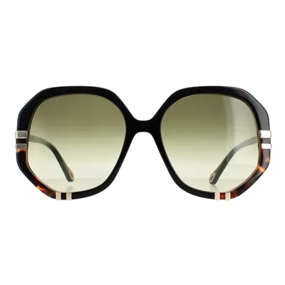 Chloe Sunglasses CH0105S Shiny Black and Tortoise Green Gradient