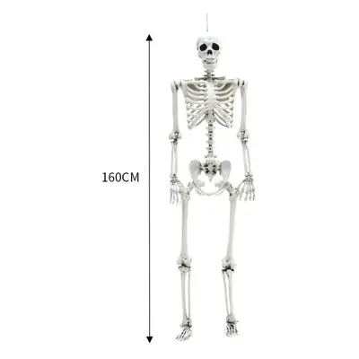 (160CM) Full Size Halloween Skeleton Haunted House Poseable Human Skeleton Prop Decors