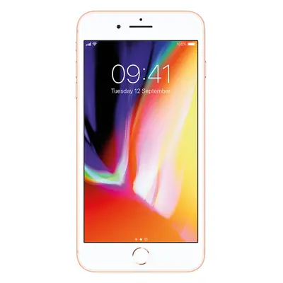 (256GB) Apple iPhone Plus | Gold