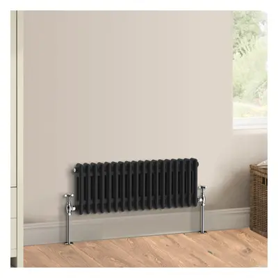 (300 x 830mm - Double) Warmehaus Traditional Cast Iron Style Black Radiator Perfect for Bathroom