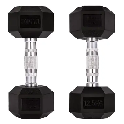 (Pair of 12.5KG (25KG Total)) GYM MASTER Hex Dumbbells Rubber Encased 1-30kg Cast Iron Weight Li