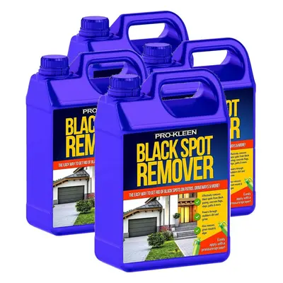 (20L) Pro-Kleen Path & Patio Black Spot Remover