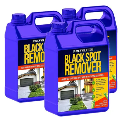 (15L) Pro-Kleen Path & Patio Black Spot Remover