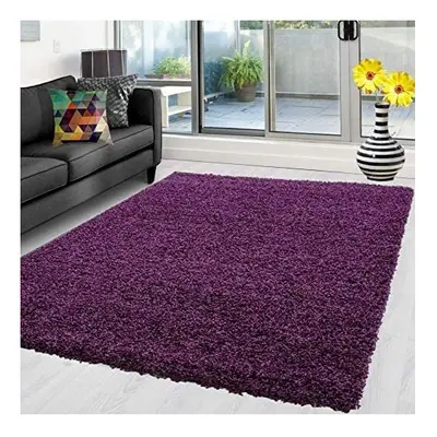 (Purple, 160cm x 230cm) Abaseen Shaggy Non Shed Thick Fluffy Rug