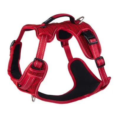 (Large, Red) Rogz Explore Dog Harness