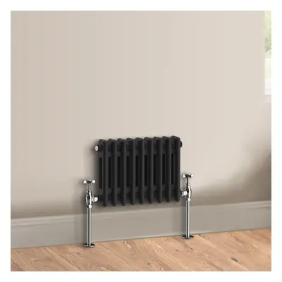 (300 x 425mm - Double) Warmehaus Traditional Cast Iron Style Black Radiator Perfect for Bathroom