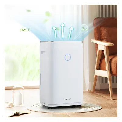 Dehumidifier 20L/Day Versatile Modes & 24H Timer w/ Child Lock Home