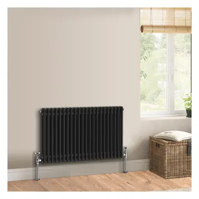 (600 x 1010mm - Double) Warmehaus Traditional Cast Iron Style Black Radiator Perfect for Bathroo