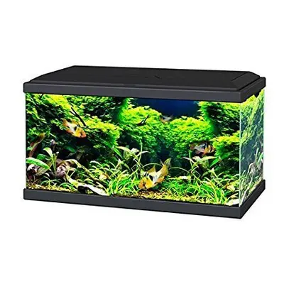 Ciano Black Aqua LED Tropical Glass Aquarium - Includes Filter, Lights & Heater 58L