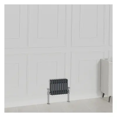 (300x425mm-2 Column, Anthracite) NRG Traditional Radiator Horizontal Vertical Cast Iron Style Do