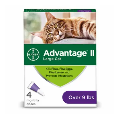 Flea Prevention for Large Cats, Over 9-Lbs., doses -00724089202246