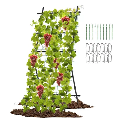 Garden Metal Trellis 187cm Plant Support A-Frame Stand W/ Net