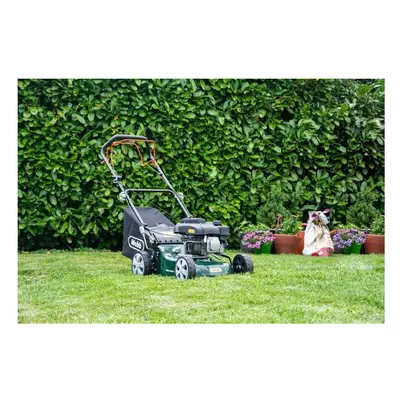 Webb Petrol Classic Self Propelled Lawnmower [WERA410SP]