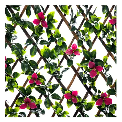 Expanding Wooden Trellis Privacy Screen - 200cm x 100cm - Garden Balcony Fence - Gardenia