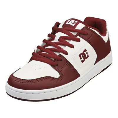 (10) DC Shoes Manteca Sn Mens Skate Trainers in White Aurora