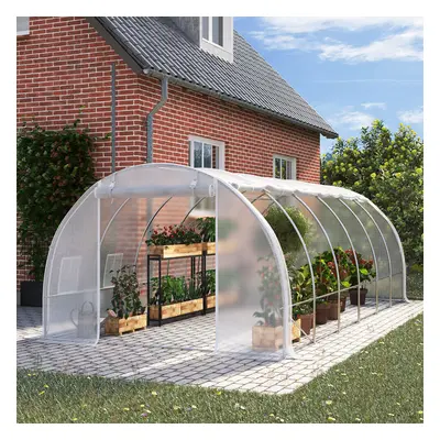 (6M*3M*2M) White Outdoor Polytunnel Garden Grow Greenhouse Roll-up Side Walls Poly Tunnel