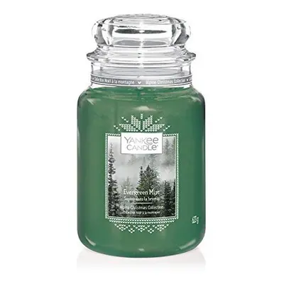 Yankee Candle Large Jar Scented Candle, Evergreen Mist, Alpine Christmas Collection, Up to Hours