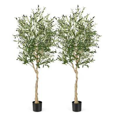 2-Pack Artificial Olive Trees 182cm Tall Faux Olive Plants Cement Pot