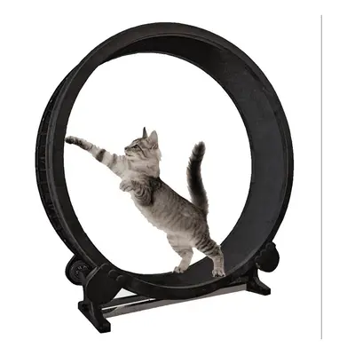 Cat Exercise Wheel / Cat Treadmill Giant Running Wheel Indoor Fitness