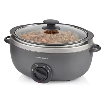 Morphy Richards Oval Sear & Stew 6.5 Litre Slow Cooker Titanium