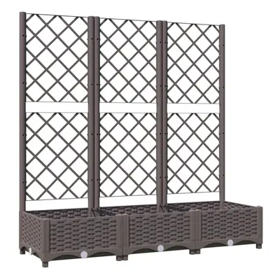 vidaXL Garden Planter with Trellis Brown PP Outdoor Raised Bed Flower Box