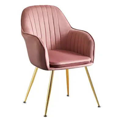 (Pink) Luxury French velvet Design dining chair T05