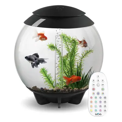 BiOrb Halo 30L Aquarium in Grey with MCR LED Lighting