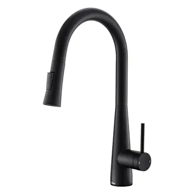 Black Kitchen Tap, Kitchen Tap with Pull Out Spray Stainless Steel Kitchen Mixer Tap Black Kitch