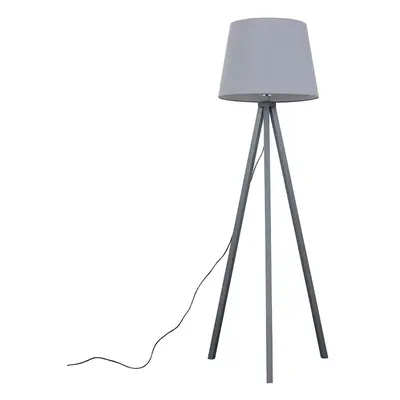 Barbro Grey Floor Lamp