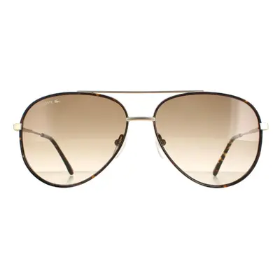 Lacoste Sunglasses L247S Matte Gold Brown Gradient