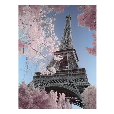 David Clapp (Eiffel Tower Infrared, Paris) x x 4cm Canvas Print