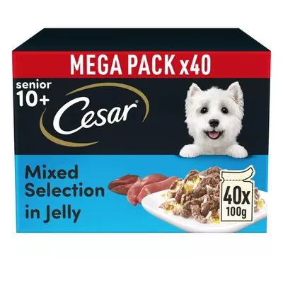 40 x 100g Cesar Sauce Selection Adult Wet Dog Food Pouches Mixed in Jelly