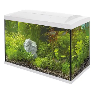 (150 White) Superfish Start Tropical Aquarium Kit 50 100 Black White LED Fish Tank