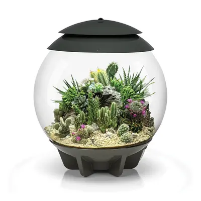 biOrb AIR Grey 30L Acrylic Terrarium with LED Lighting Tropical Daylight Simulation Plant Tank