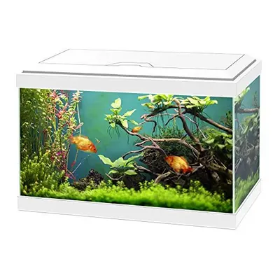 Ciano Aqua Classic Aquarium Fish Tank - White