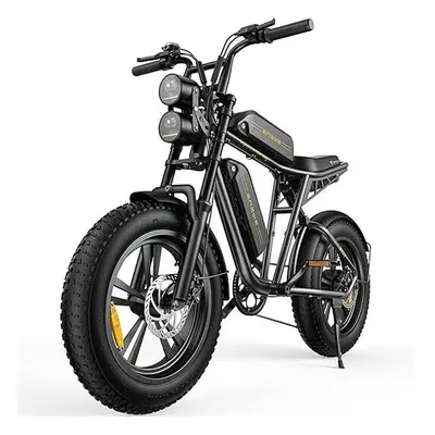 ENGWE M20 Electric Bike W750 25KM/H for Adults, Dual 13AH E-bike