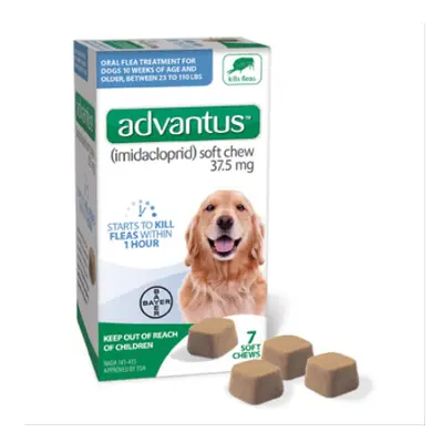 7PKAdvantus Chew LG Dog