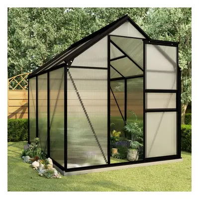 vidaXL Anthracite Aluminium Greenhouse