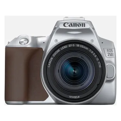 Canon EOS 250D EF-S 18-55mm STM Kit (Silver)