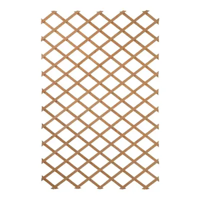 Nature Garden Trellis 100x200cm Wood Natural Outdoor Fence Plant Climbing