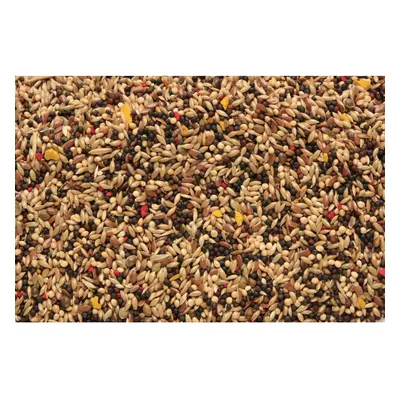 SkyGold Popular Canary Cage & Aviary Seed Mix 20Kg