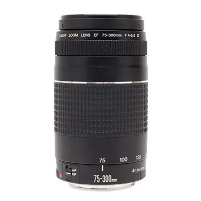 Canon EF 75-300mm f/4-5.6 III Telephoto Zoom Lens