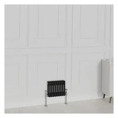 (300x425mm-2 Column, Black) NRG Traditional Radiator Horizontal Vertical Cast Iron Style Double 