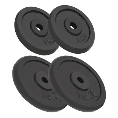 vidaXL 4x Weight Plates 2x10kg+2x5kg Cast Iron Fitness Gym Disc for Dumbbell