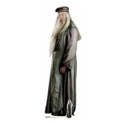 Professor Albus Dumbledore from Harry Potter Lifesize Cardboard Cutout