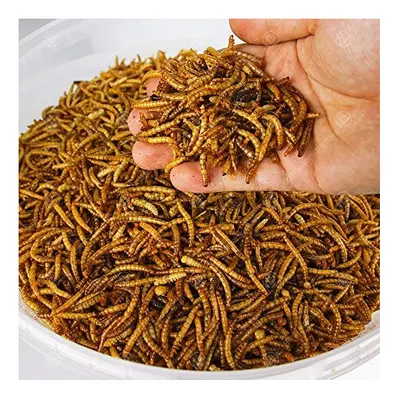 5KG WILD BIRD DRIED MEALWORMS