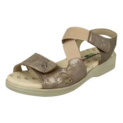 (UK 4.5, Metallic Reptile (Gold)) Ladies Padders Hook & Loop Fastening Sandals Cruise - 3E/4E Fi